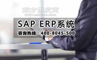 通SAP软件代理商 化SAP ERP软件开发公司 选择达策图片